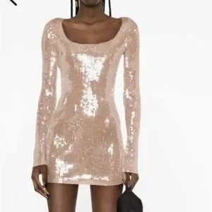 Alexander Wang Dresses Kylie Jenner Alexander Wang Sequence